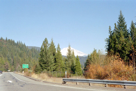 [The completely snow-covered mountain is visible behind some trees as the rest stop. The sky is cloudless so the white is clearly visible behind the green tree.]